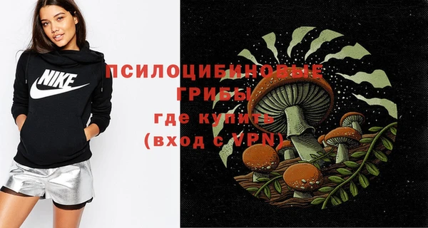 метадон Горнозаводск
