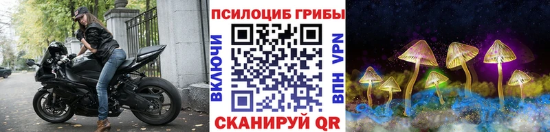 hydra сайт  Талдом  Псилоцибиновые грибы прущие грибы  купить  цена 